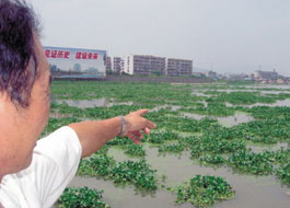 米兰体育app官网入口